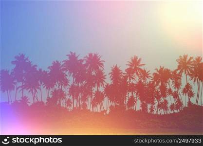 Coconut palms on ocean shore vintage color toned with film distress flare