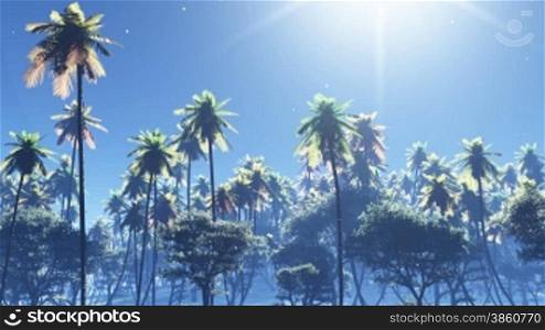 coconut palms under moonlight, stars twinkle in night sky.