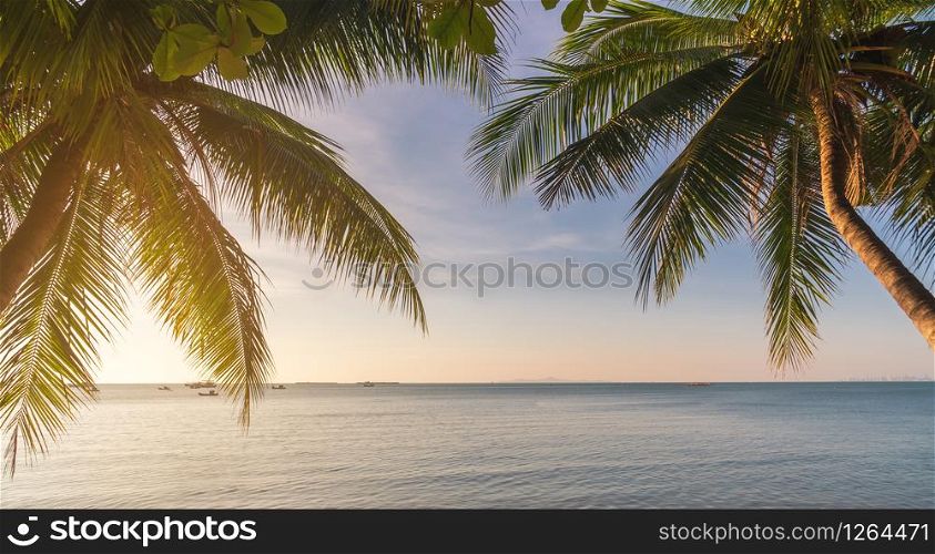 Coconut plam tree with sunset at tropical beach, Summer vacation concept