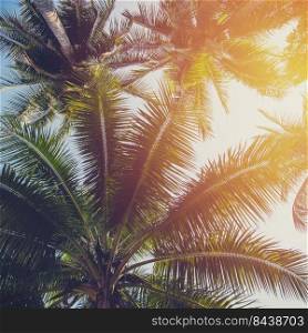Coconut tree at tropical coast with vintage tone.
