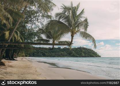 Coconut tree on beach at the sea with sunlight.