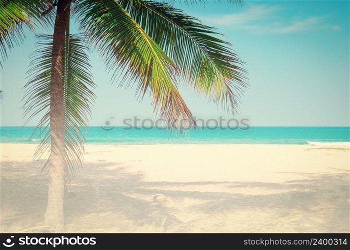 Coconut tree on the sky background-  - retro styled picture