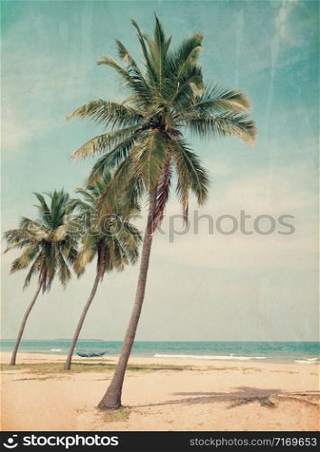 Coconut tree on the sky background- - retro styled picture