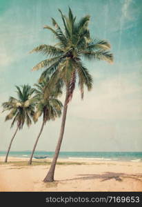 Coconut tree on the sky background- - retro styled picture