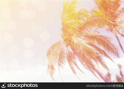 coconut trees over clear sky on day with sun light retro effect image for summer fun party travel concept.