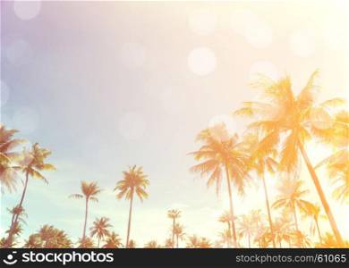 coconut trees over clear sky on day with sun light retro effect image for summer fun party travel concept.