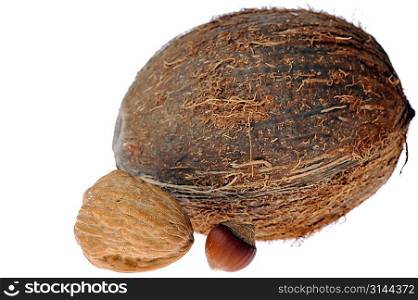 coconut,walnut, hazeknut on white