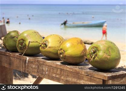 Coconuts on Dravuni island, Fiji, South Pacific