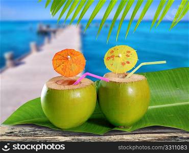 coconuts straw cocktails in tropical caribbean sea pier with boat