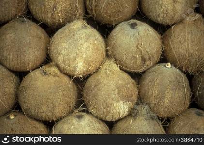 cocos nut in a markte in the town of siem riep near ankor wat in cambodia in southeastasia. . ASIA CAMBODIA
