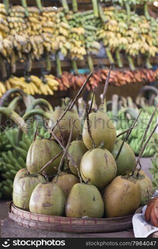 Cocosnut in a Fruit market in a Market near the City of Yangon in Myanmar in Southeastasia.. ASIA MYANMAR YANGON MARKET FOOD FRUIT COCOSNUT