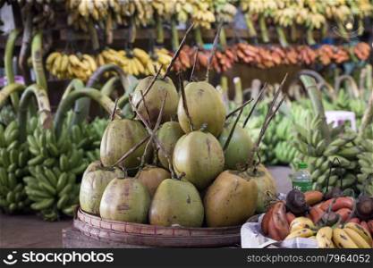 Cocosnut in a Fruit market in a Market near the City of Yangon in Myanmar in Southeastasia.. ASIA MYANMAR YANGON MARKET FOOD FRUIT COCOSNUT