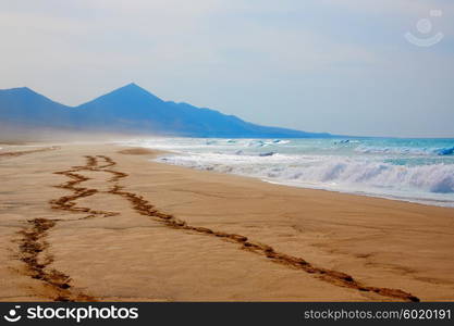 Cofete Fuerteventura Barlovento beach at Canary Islands of Spain