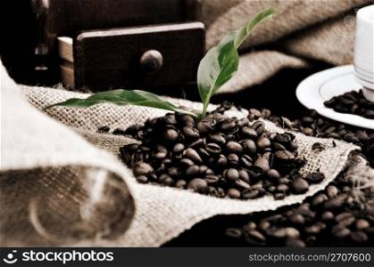 coffe plant in granules in vitage style