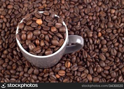 Coffee Bean Background with cup. High resolution file full of coffee beans with a cup full of beans on the left
