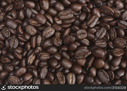 Coffee bean,Coffee beans