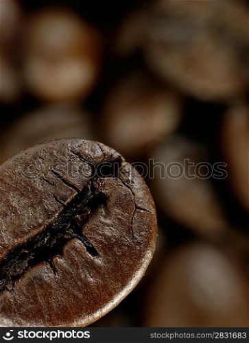 Coffee bean in deep shadows over unfocused grains background