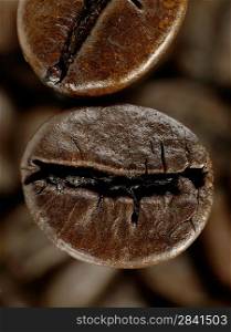 Coffee bean in deep shadows over unfocused grains background
