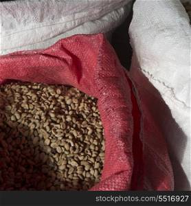 Coffee bean in sacks, Finca El Cisne, Honduras
