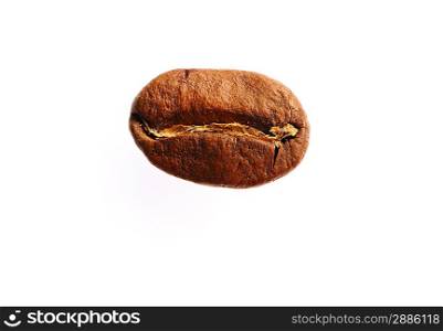 Coffee bean over white background