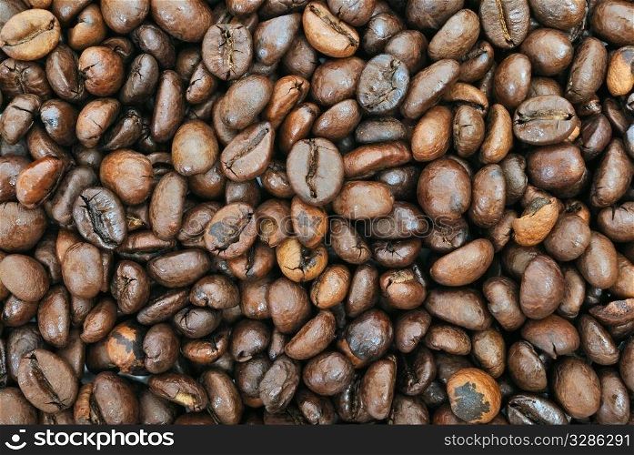 coffee beans background. closeup