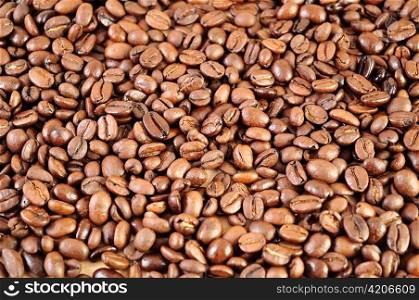 coffee beans , close up shot for background