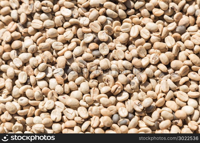 Coffee beans closeup background. green unroasted coffee beans.