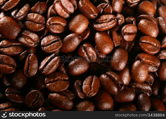 coffee beans detailed macro close up