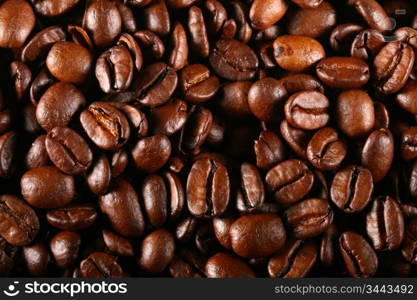 coffee beans detailed macro close up