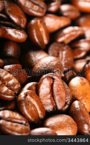 coffee beans detailed macro close up