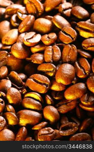 coffee beans detailed macro close up