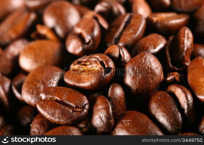 coffee beans detailed macro close up