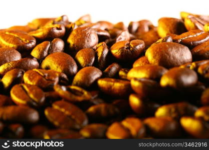 coffee beans detailed macro close up