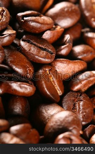 coffee beans detailed macro close up