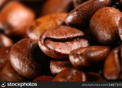 coffee beans detailed macro close up