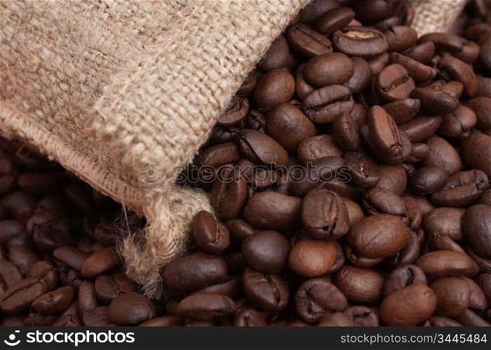 coffee beans in a bag
