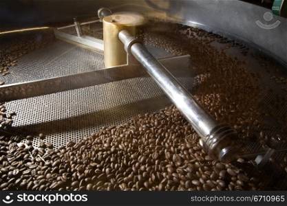 Coffee beans in a factory
