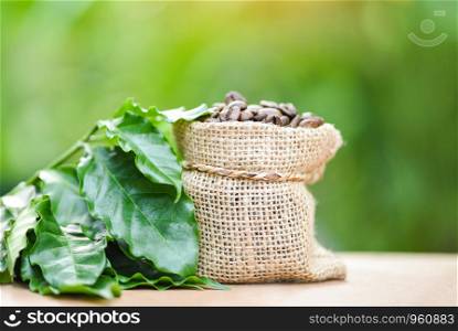 coffee beans in bag / Roasted coffee in sack with green leaf on wooden table and nature green background in the morning