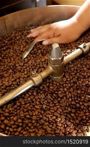 Coffee beans in the roasting machine