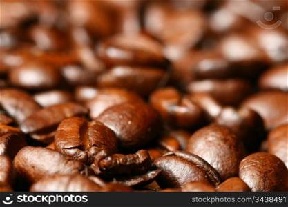 coffee beans macro close up
