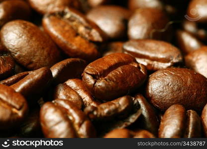 coffee beans macro close up