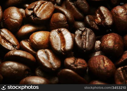 coffee beans macro close up