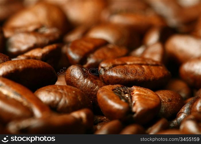 coffee beans macro close up