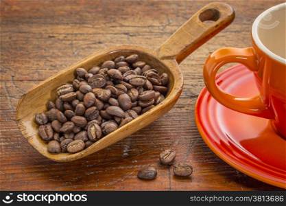 coffee beans on a rustic wooden scoop against grunge wood with stoneware cup