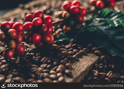 Coffee beans on coffee green leaves on wooden background, Fresh coffee beans on wooden background