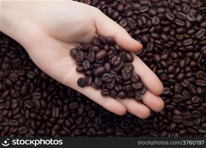 Coffee beans on hand