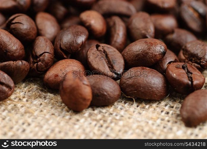 Coffee beans on the bagging. Selective focus, close up