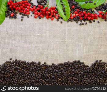 Coffee beans on the table with a burlap.