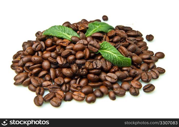 coffee beans on white background