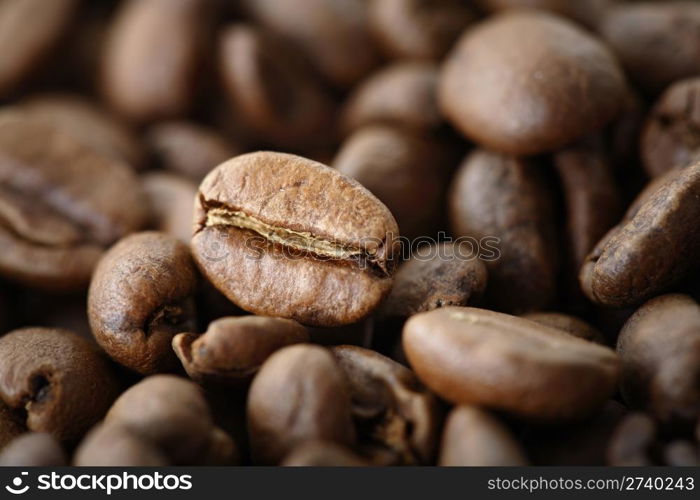 Coffee beans, short depth-of-field